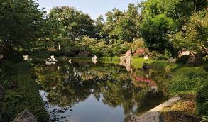 Image result for japanese gardens...