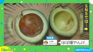 「アボカド大臣」の画像検索結果