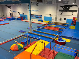 Image result for Horizon Team Gym Club