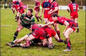 Image result for Lymm Rugby Union Football Club