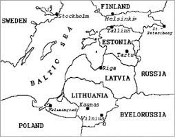 Attēlu rezultāti vaicājumam “Seligeria donniana sporophyte”