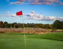 Image result for Boston West Golf Club