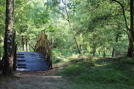 Image result for Go Ballistic Newbury Paintballing