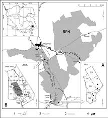 Attēlu rezultāti vaicājumam “Cladopodiella fluitans”