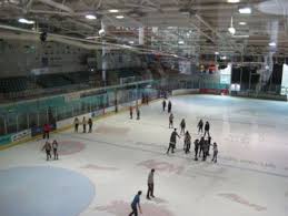 Image result for Guildford Ice Figure Skating Club