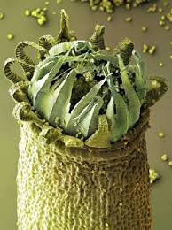 Attēlu rezultāti vaicājumam “Homalothecium sericeum”