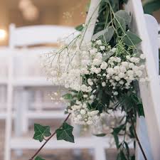 Attēlu rezultāti vaicājumam “Gypsophila fastigiata flower”