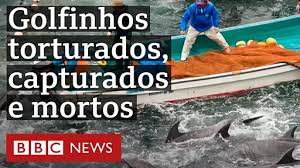 Image result for massacre golfinhos dinamarca