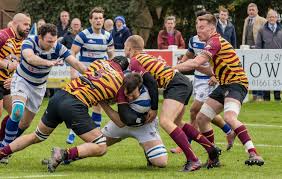 Image result for Tynedale Rfc