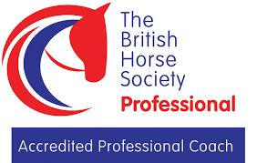 Image result for British Horse Society