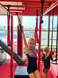 Image result for Dynamo Trampoline Academy