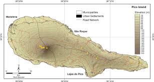 Attēlu rezultāti vaicājumam “Serpoleskea confervoides”