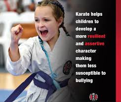 Image result for Springwood Karate