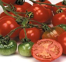 Afbeeldingsresultaat voor bloody butcher tomato