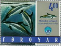 Image result for Leucopleurus acutus