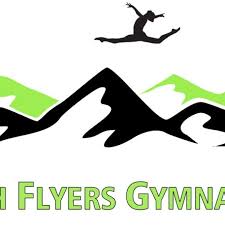 Image result for Hull High Flyers Gymnastics Club