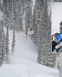 Image result for skiptondivers