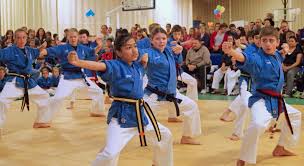 Image result for Action Karate