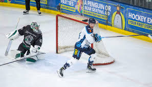 Image result for Basingstoke Bison Ice Hockey Club