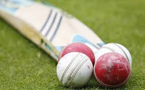 Image result for Bat Sports Cricket Club