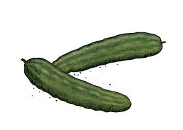 Image result for Gurke