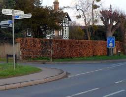 Image result for Severn Vale Bowls Club