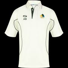 Image result for Wood Street Village Cricket Club