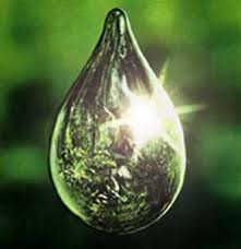 Ama lo que te ofrece el agua♥