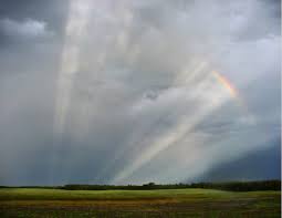 Attēlu rezultāti vaicājumam “Rainbow Spokes”