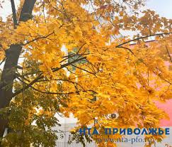 Image result for Приметы