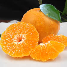 Image result for 水野X68仁義