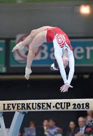 Image result for Thornton Sport Gymnastics