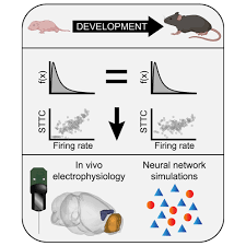 Image result for The 3E`s Ttc