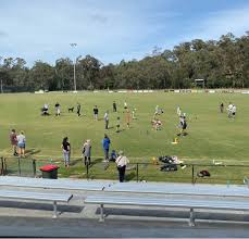 Image result for Eltham Panthers