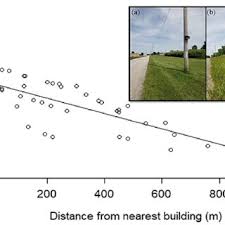 Attēlu rezultāti vaicājumam “Sturnus vulgaris nest”