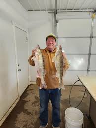 Image result for British Conger Club