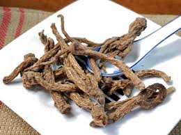 Image result for root-tail