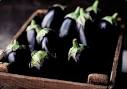 Aubergine - Glossary - How to cook - BBC Good Food