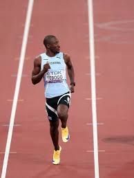 Image result for Tobogo