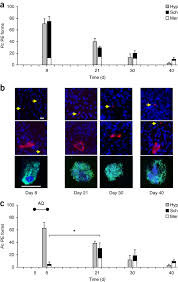 Attēlu rezultāti vaicājumam “Siphoptychium violaceum plasmodium”