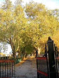 Image result for Plashet Park Bowling Club