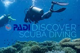 Image result for Southdown Divers
