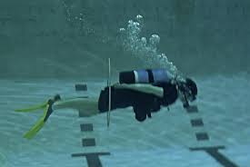Image result for Meadurst Sub-Aqua Club