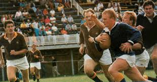 Image result for Bank Top Harriers Arlfc