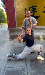 Image result for Farnham Kung Fu Club