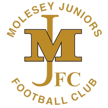 Image result for Redhill Juniors FC