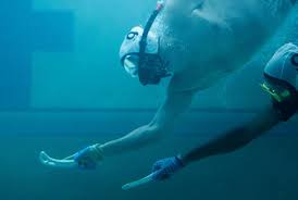 Image result for Spectrum Angels Octopush Club