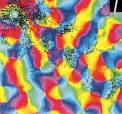 Zucker Computational Vision Group (