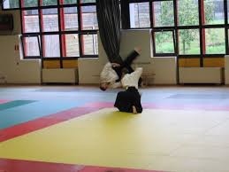 Image result for Newcastle Aikido Club