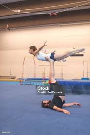 Image result for Elements Acro